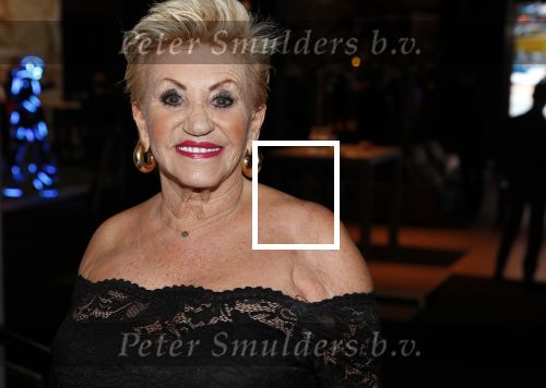 Amsterdam 6 december 2018
Openingsavond VIP van de luxery fair in de RAI. hanny Veerkamp met zoon