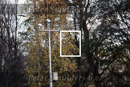 Den Haag 30 november 2018
De verbouwing van Huis ten Bosch waar Koning Wilem Alexander en Koningin Maxima binnenkort gaan wonen is bijna klaar.