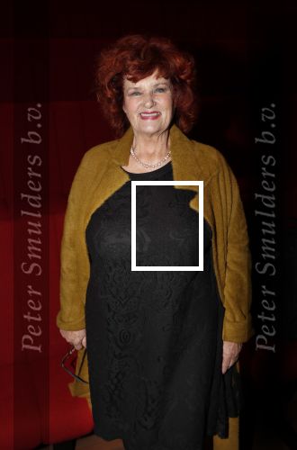 Hilversum 3 december 2018
Tineke de Nooij krijgt ouvre award bij beeld en geluid. Imca marina