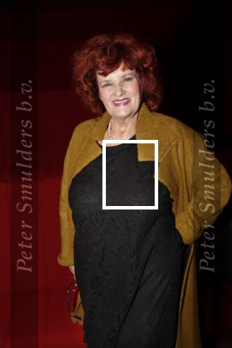Hilversum 3 december 2018
Tineke de Nooij krijgt ouvre award bij beeld en geluid. Imca marina