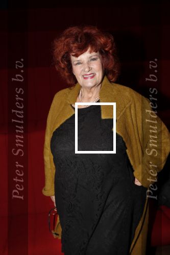 Hilversum 3 december 2018
Tineke de Nooij krijgt ouvre award bij beeld en geluid. Imca marina