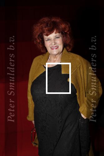 Hilversum 3 december 2018
Tineke de Nooij krijgt ouvre award bij beeld en geluid. Imca marina