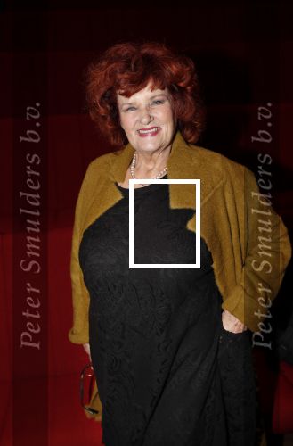 Hilversum 3 december 2018
Tineke de Nooij krijgt ouvre award bij beeld en geluid. Imca marina