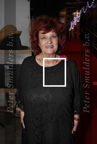 Hilversum 3 december 2018
Tineke de Nooij krijgt ouvre award bij beeld en geluid. Imca marina
