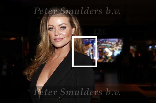 Amsterdam 6 december 2018
Openingsavond VIP van de luxery fair in de RAI. inge de Bruijn