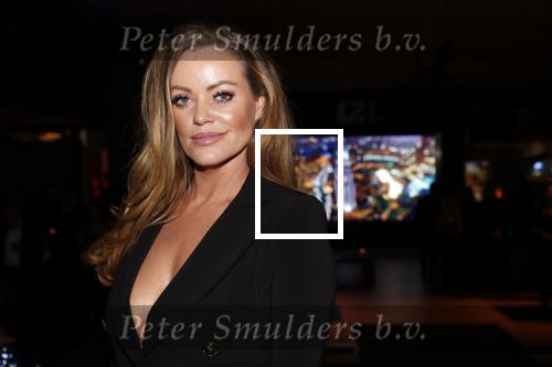Amsterdam 6 december 2018
Openingsavond VIP van de luxery fair in de RAI. inge de Bruijn