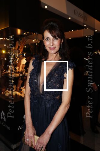 Amsterdam 6 december 2018
Openingsavond VIP van de luxery fair in de RAI. Irene v d Laar