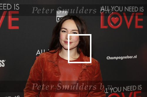 Amsterdam 26 november 2018
Premiere All you need is love in het delamar theater. Isis Cabolet