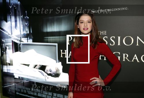 Amsterdam 26 november 2018
Premiere van the possession of Hannah Grace van regisseur Diederik v Rooijen in Pathe de munt. Jamie Grant