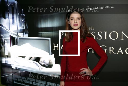 Amsterdam 26 november 2018
Premiere van the possession of Hannah Grace van regisseur Diederik v Rooijen in Pathe de munt. Jamie Grant