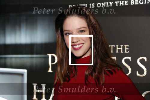 Amsterdam 26 november 2018
Premiere van the possession of Hannah Grace van regisseur Diederik v Rooijen in Pathe de munt. Jamie Grant