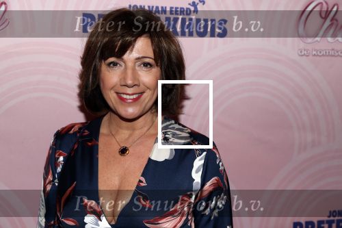 Rotterdam 9 december 2018
Premiere Charley in het oude Luxor theater. Janke Dekker