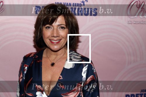 Rotterdam 9 december 2018
Premiere Charley in het oude Luxor theater. Janke Dekker