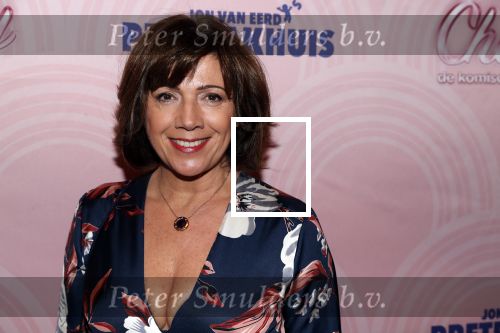Rotterdam 9 december 2018
Premiere Charley in het oude Luxor theater. Janke Dekker