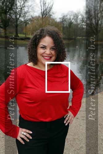 Amsterdam 18 december 2018
Musical lunch voor genomineerden Musical awards in Vondel CS. Jeannine La Rose