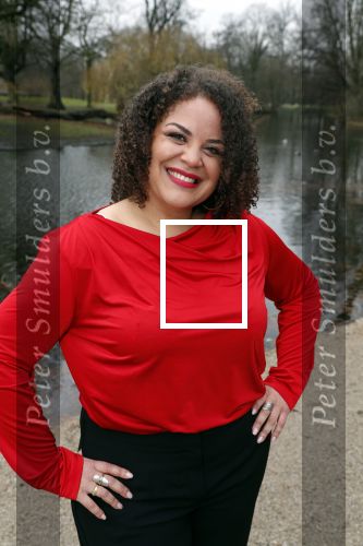 Amsterdam 18 december 2018
Musical lunch voor genomineerden Musical awards in Vondel CS. Jeannine La Rose