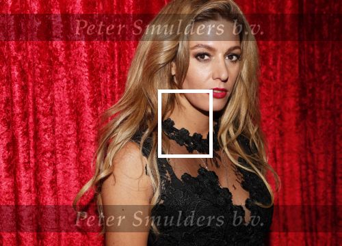 Amsterdam 21 november 2018
Premiere Palazzo naast de Amsterdam arena. Harry Mens met Jolanda v Remundt