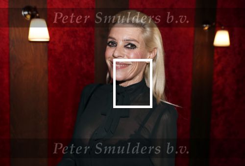 Amsterdam 21 november 2018
Premiere Palazzo naast de Amsterdam arena. Judith osborn