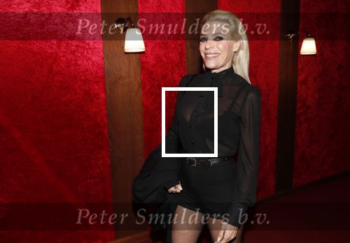 Amsterdam 21 november 2018
Premiere Palazzo naast de Amsterdam arena. Judith osborn
