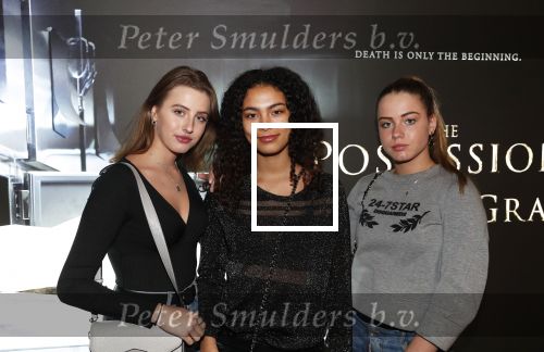 Amsterdam 26 november 2018
Premiere van the possession of Hannah Grace van regisseur Diederik v Rooijen in Pathe de munt. Julia Tan met vriendinnen
