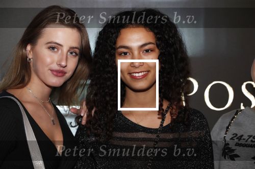 Amsterdam 26 november 2018
Premiere van the possession of Hannah Grace van regisseur Diederik v Rooijen in Pathe de munt. Julia Tan met vriendinnen