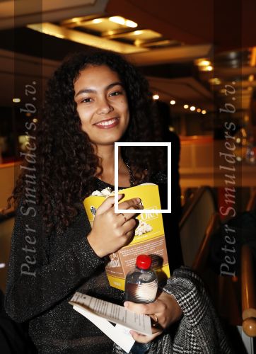 Amsterdam 26 november 2018
Premiere van the possession of Hannah Grace van regisseur Diederik v Rooijen in Pathe de munt. Julia Tan met vriendinnen