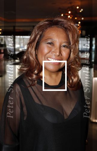 Den Haag 10 december 2018
Society Lunch in het crown plaza hotel. Justine Pelmelay