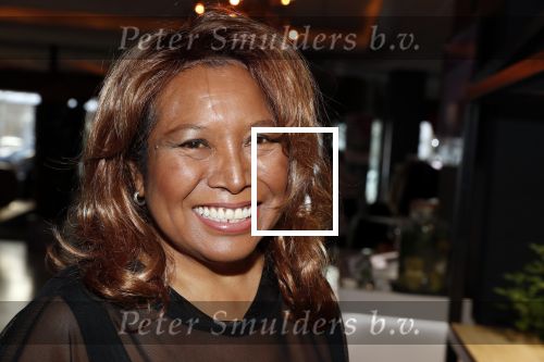 Den Haag 10 december 2018
Society Lunch in het crown plaza hotel. Justine Pelmelay