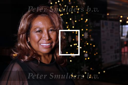 Den Haag 10 december 2018
Society Lunch in het crown plaza hotel. Justine Pelmelay