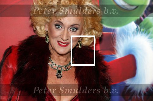 Amsterdam 224 november 2018
Premiere de Grinch in pathe arena.
Karin Bloemen 12 KG afgevallen