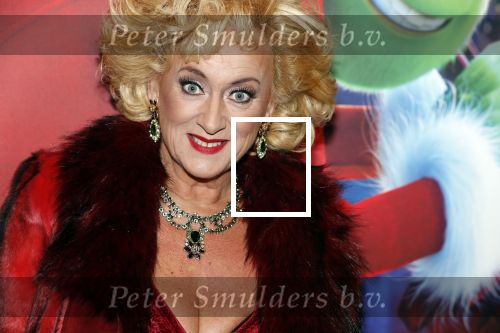 Amsterdam 224 november 2018
Premiere de Grinch in pathe arena.
Karin Bloemen 12 KG afgevallen