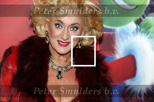 Amsterdam 224 november 2018
Premiere de Grinch in pathe arena.
Karin Bloemen 12 KG afgevallen