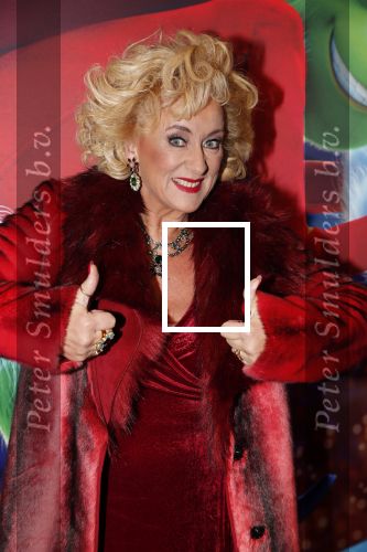 Amsterdam 224 november 2018
Premiere de Grinch in pathe arena.
Karin Bloemen 12 KG afgevallen