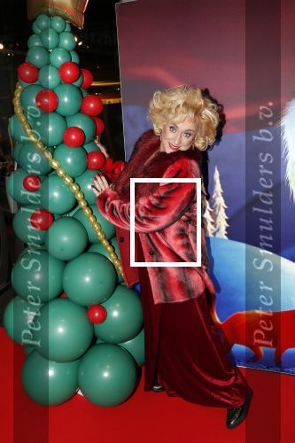 Amsterdam 224 november 2018
Premiere de Grinch in pathe arena.
Karin Bloemen 12 KG afgevallen