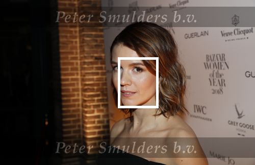 Amsterdam 10 december 2018
de Harper\'s Bazaar Woman of the Year Award 2018 in de Posthoornkerk . Katja Herbers