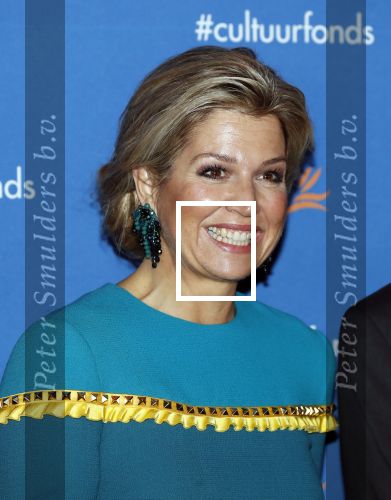 Amsterdam 26 november 2018
Koningin Maxima reikt in het Muziekgebouw aan t IJ de Prins Bernhard Cultuurfonds Prijs uit aan dirigent en componist Reinbert de Leeuw