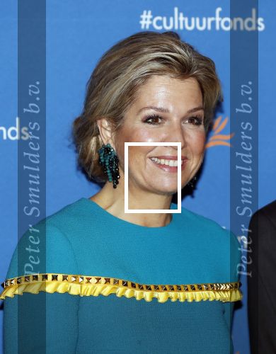 Amsterdam 26 november 2018
Koningin Maxima reikt in het Muziekgebouw aan t IJ de Prins Bernhard Cultuurfonds Prijs uit aan dirigent en componist Reinbert de Leeuw