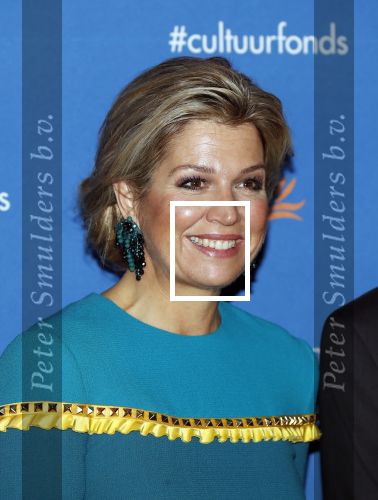 Amsterdam 26 november 2018
Koningin Maxima reikt in het Muziekgebouw aan t IJ de Prins Bernhard Cultuurfonds Prijs uit aan dirigent en componist Reinbert de Leeuw