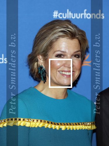 Amsterdam 26 november 2018
Koningin Maxima reikt in het Muziekgebouw aan t IJ de Prins Bernhard Cultuurfonds Prijs uit aan dirigent en componist Reinbert de Leeuw