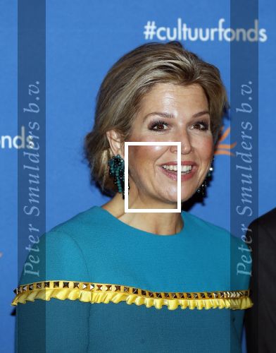 Amsterdam 26 november 2018
Koningin Maxima reikt in het Muziekgebouw aan t IJ de Prins Bernhard Cultuurfonds Prijs uit aan dirigent en componist Reinbert de Leeuw