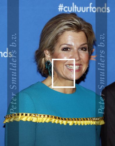 Amsterdam 26 november 2018
Koningin Maxima reikt in het Muziekgebouw aan t IJ de Prins Bernhard Cultuurfonds Prijs uit aan dirigent en componist Reinbert de Leeuw