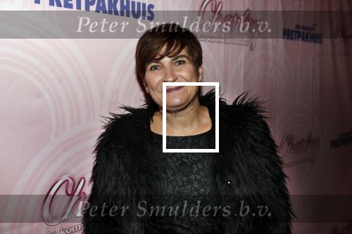 Rotterdam 9 december 2018
Premiere Charley in het oude Luxor theater. Lilianne Ploumen kwam met haar man