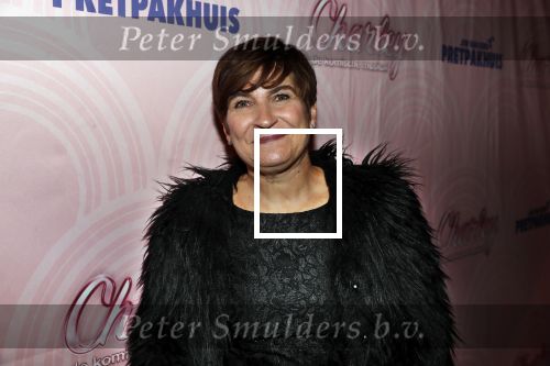 Rotterdam 9 december 2018
Premiere Charley in het oude Luxor theater. Lilianne Ploumen kwam met haar man