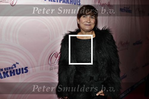 Rotterdam 9 december 2018
Premiere Charley in het oude Luxor theater. Lilianne Ploumen kwam met haar man