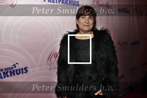 Rotterdam 9 december 2018
Premiere Charley in het oude Luxor theater. Lilianne Ploumen kwam met haar man