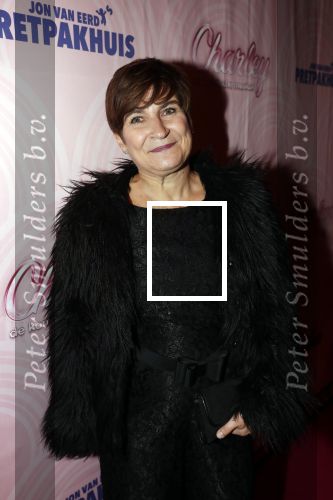 Rotterdam 9 december 2018
Premiere Charley in het oude Luxor theater. Lilianne Ploumen kwam met haar man