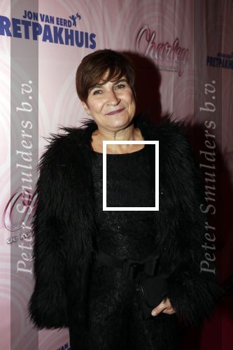 Rotterdam 9 december 2018
Premiere Charley in het oude Luxor theater. Lilianne Ploumen kwam met haar man