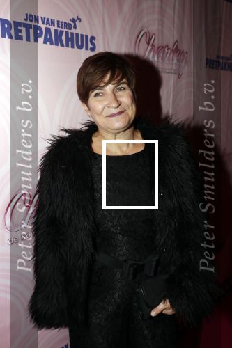 Rotterdam 9 december 2018
Premiere Charley in het oude Luxor theater. Lilianne Ploumen kwam met haar man