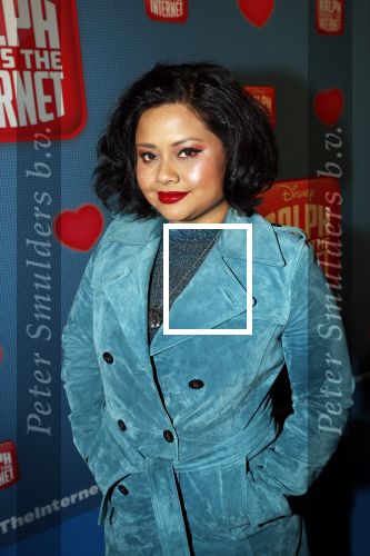 Amsterdam 8 december 2018
Premiere van Ralph Breaks the Internet in Pathe Arena. Linda Wagemakers met kinderen