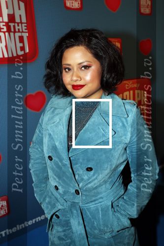 Amsterdam 8 december 2018
Premiere van Ralph Breaks the Internet in Pathe Arena. Linda Wagemakers met kinderen